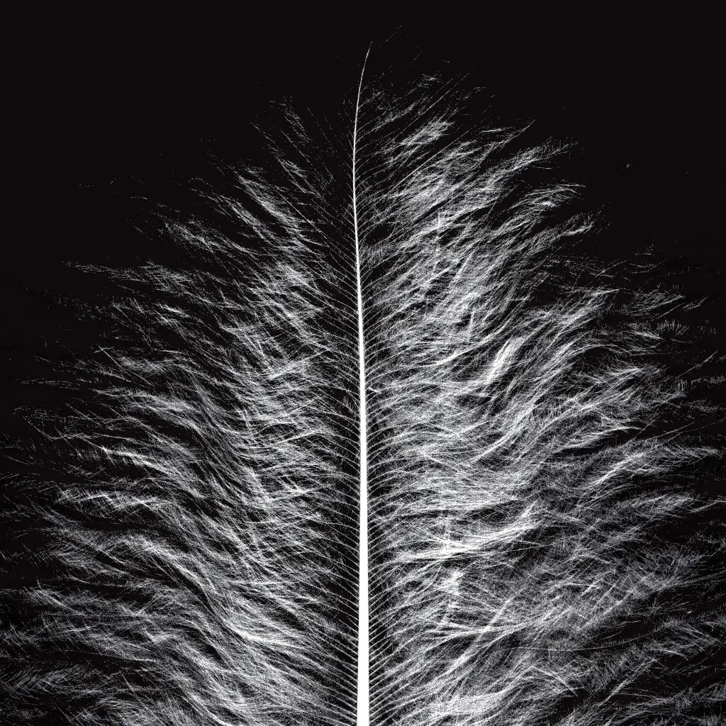 "Retjons" tirage HD grand format sur support rigide (PVC 5mm, 30 x 30cm)