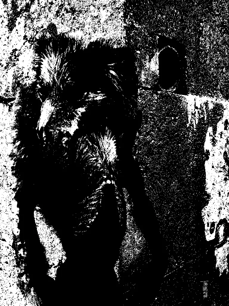 "Lycanthrope" Tirage HD grand format sur support rigide ou papier (Papier d'art 235g, 30 x 40 cm)